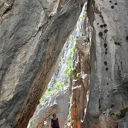 ホテル Paklenica 4*